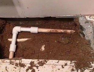 秀英测漏水哪家好