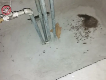 秀英卫生间测漏水价格明细