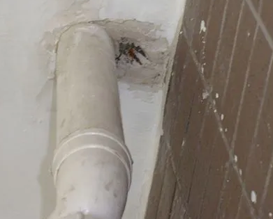 秀英漏水检测哪家好